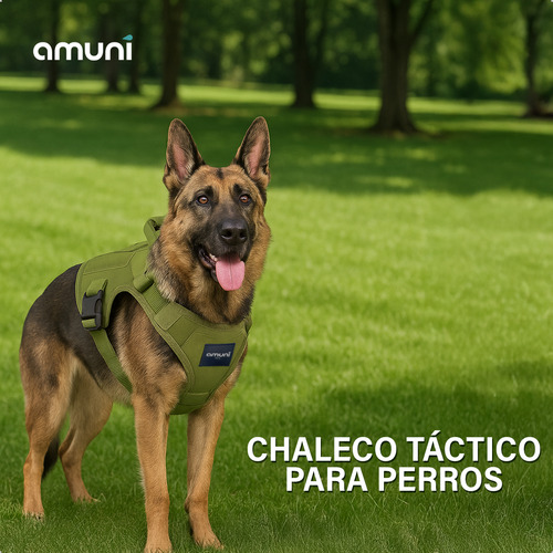 Chaleco Reforzado Perros Arnés Táctico Pretal Regulable