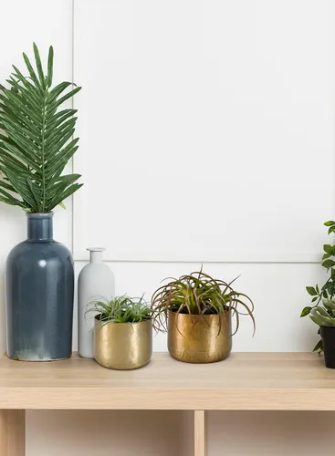 Serene Spaces Living Macetas Martilladas Doradas Con Aspecto