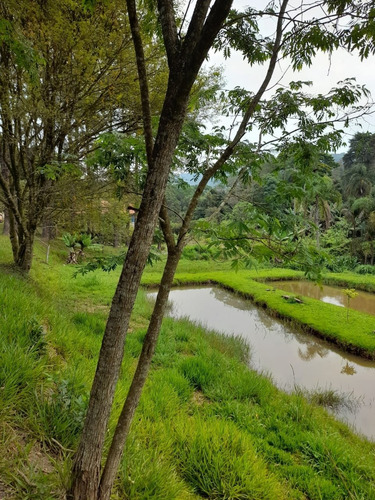 Imagem 29 de 30 de Chácara À Venda Em Mairiporã/sp - 0148 - 34968961