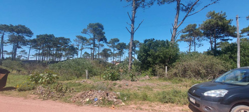 Terreno En Venta En El Bosque En Punta Del Diablo