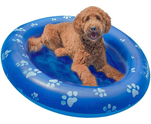 Flotador Inflable Para Mascotas Poolcandy - Flotadores De Pi