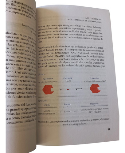 ¿cómo Funciona Una Célula? (Usado)
