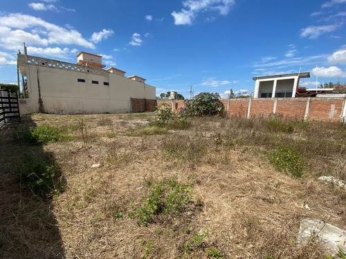 Renta Terreno 491.31 M² Col. La Calzada Tuxpan Veracruz