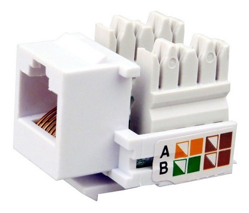 Imagen 3 de 6 de Jack Rj45 Cat5e Blanco X 1 Unidad Dracma