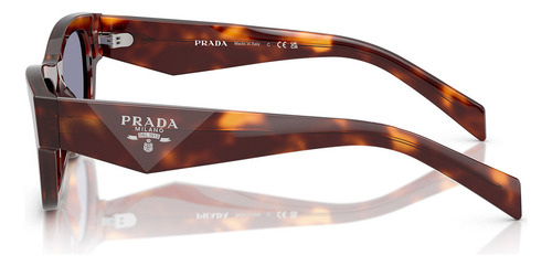 Gafas de sol Prada Catwalk Turtle PRB09s 15w03n-54