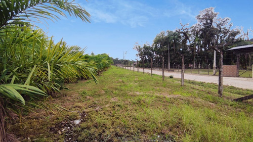 Imagem 28 de 28 de Linda Chácara No Vila Nova | Terreno Com 204.700 M² | Próximo Ao Bar Do Canarinho - Sa01954 - 69526825