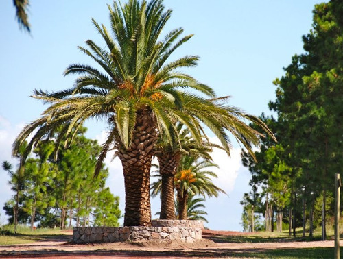 Casa Chic Carmelo + Vista Al Rio + Medanos De Punta Gorda