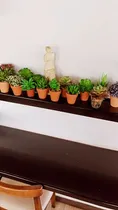 Comprar Conjunto De 14 Plantas Y Suculenta Artificiales Con Macetas