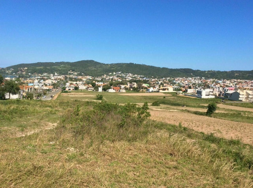 Imagem 7 de 7 de Terreno À Venda No Bairro Ferraz - Garopaba/sc - Tv167