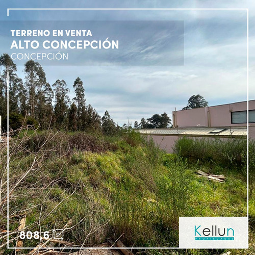 Extenso Terreno En Venta, Ubicado En Alto Concepción