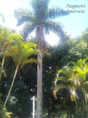 Imagem 11 de 12 de Chácaras Em Condomínio À Venda Em Piracaia/sp - Compre O Seu Chácaras Em Condomínio Aqui! - 1435018