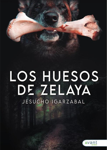 Los Huesos De Zelaya, De Jesuchoigarzabal