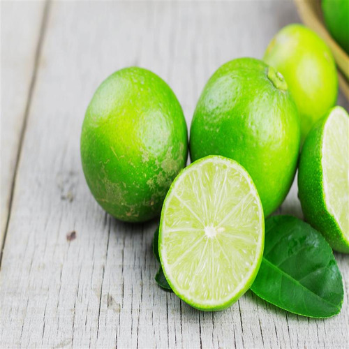 Limón Sin Semillas Enano, Rápida Produccion Con Regalo