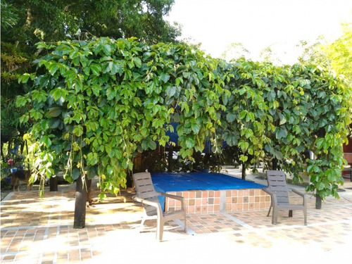 Venta Finca Amaga Con Pesebreras 30720 M²