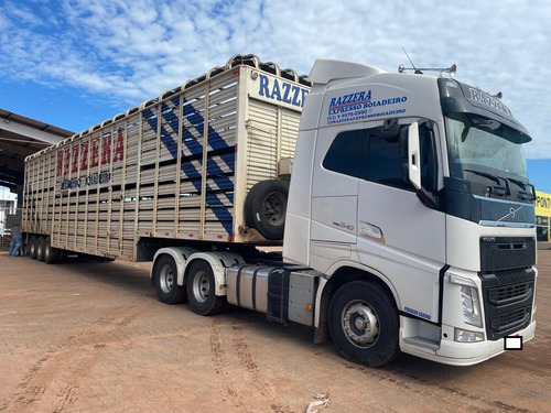 Vendo Conjunto Boiadeiro Cavalo 2018 Gaiola 2022