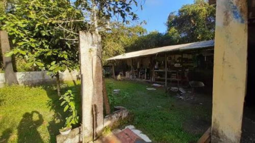 Imagem 11 de 14 de Chácara No São Fernando Com 4 Quartos E Lago Para Peixes.