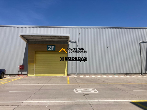 Arriendo Bodega De 456 M2 En Parque Industrial Lo Boza.