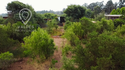 Terreno En Los Pinos Excelente Conectividad