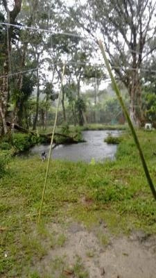 (ref: 4972) Chácara- Mongaguá/sp - Nossa Senhora De Fátima