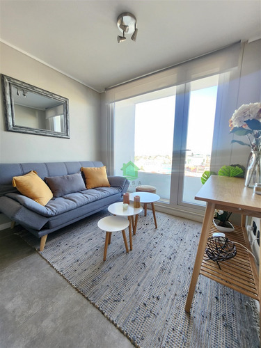 Departamento En Arriendo De 1 Dorm. En Valdivia