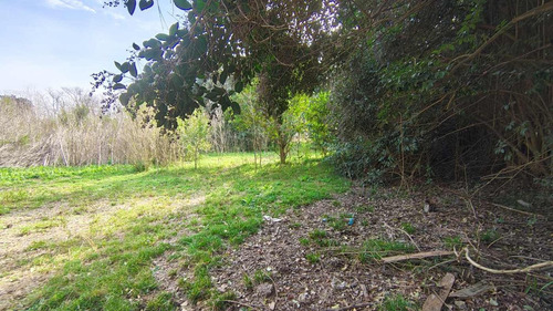 Venta Lote Terreno Chacras Canning 3278 M2 Totales