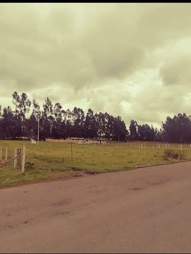 Imagen 3 de 7 de Terrenos Tabacundo (barrio Alegría)