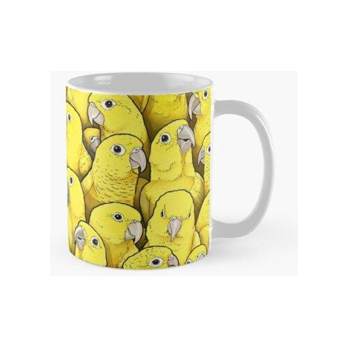 Taza Cotorras Doradas Calidad Premium