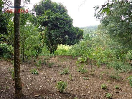 Imagem 7 de 15 de Chácara Residencial À Venda, Aldeia Ivoturucaia, Franco Da Rocha. - Ch0001