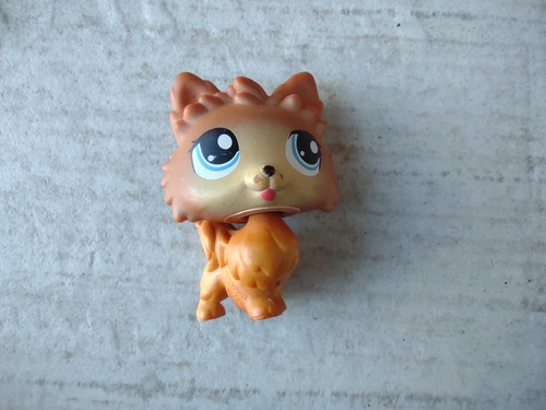 Littlest Pet Shop Perro Pomeranian #1599 (Usado)