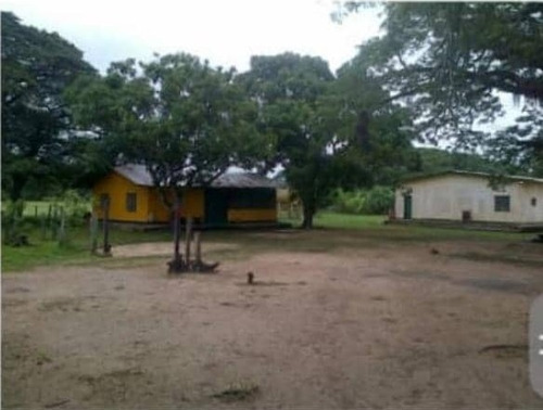 Imagen 8 de 14 de Finca En Venta En Edo. Barinas, Arismendi