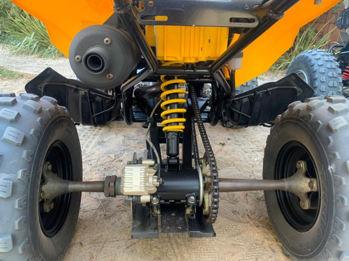 Can-am Ds 250
