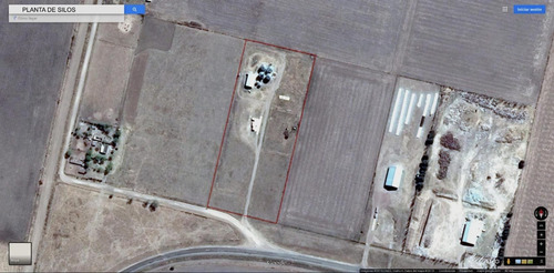 Imagen 3 de 5 de Aceitera Sobre 1,3 Has