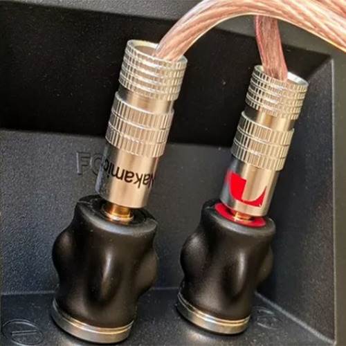 Kit 20 Plug Conector Banana Nakamichi 4mm Macho Caixa Som Ht