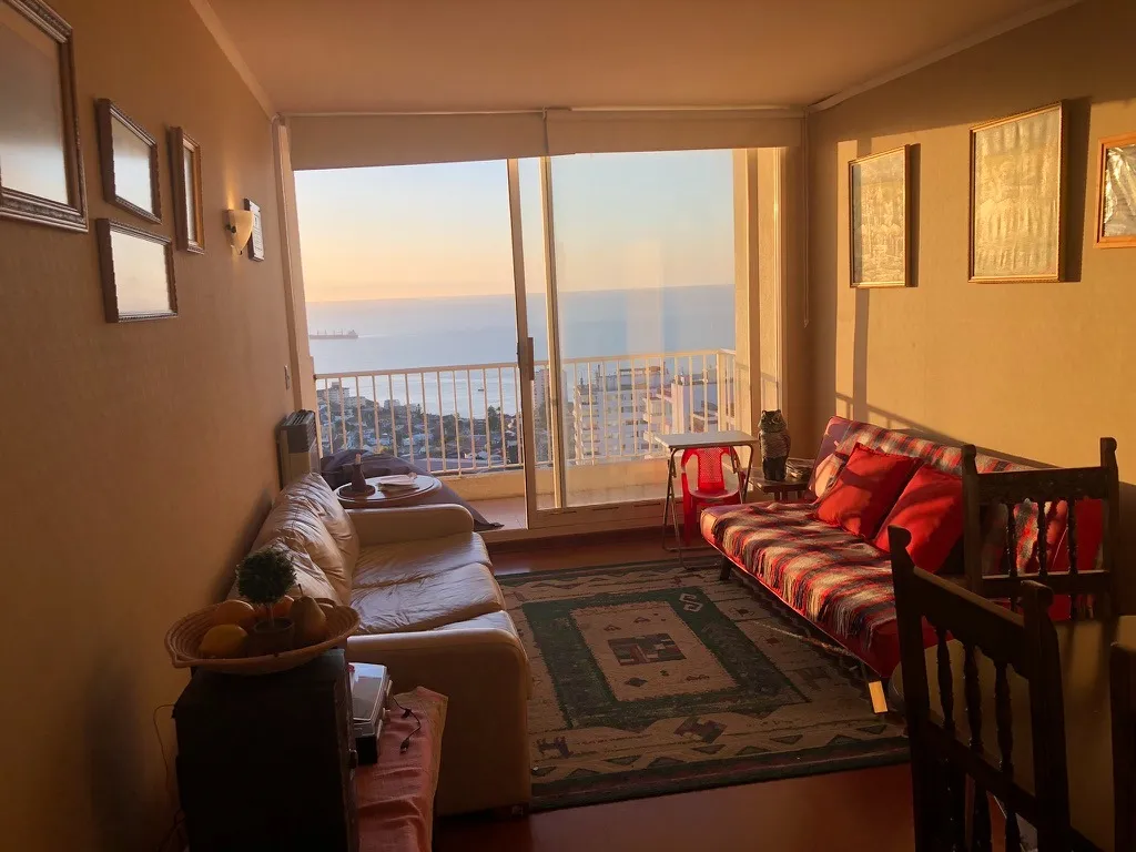 Imagen 4 de 30 de Hermoso Depto Con O Sin Amoblar En Viña