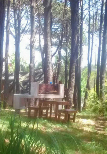 Imagen 14 de 15 de En El Bosque A 200m Del Mar, 300m Del Centro.