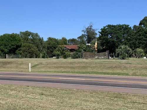 Excelente Campo En Canelones Sobre Ruta 5, 150 Has Agricolas.