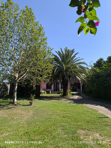 Venta De Propiedad Importante En Av. Peron 1078