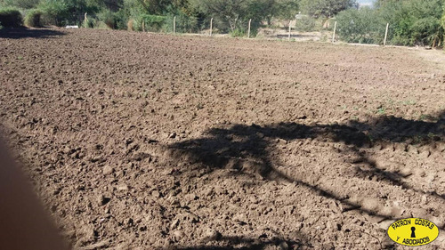 Imagen 12 de 16 de 2401hp-hosteria Campo Valles Calchaquies