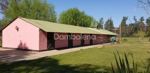Imagen 9 de 28 de Terreno En Venta O Permuta Ubicado En General Rodríguez, General Rodríguez
