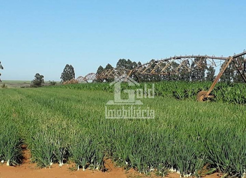 Fazenda À Venda, Com 160 Alqueires Por R$ 40.000.000 - Zona Rural - Tupaciguara/mg - Fa0138