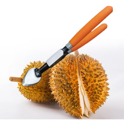 Abridor De Frutas Durian Abridor De Frutas Durian Shell