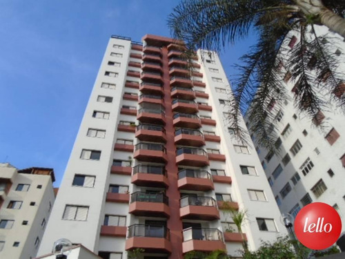 Apartamento - Ref: 12536