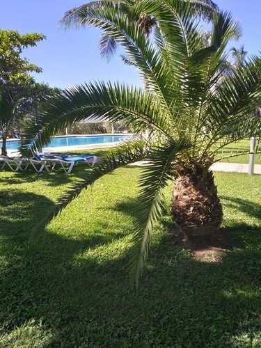 Imagen 2 de 30 de Casa En Venta En Villa Maya Playa Del Carmen
