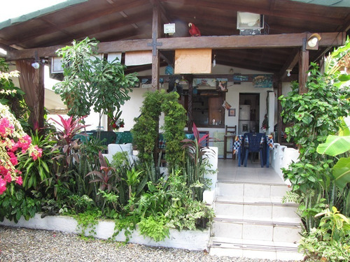 Imagen 1 de 10 de Diana Amador Posada En Venta En Chichiriviche - Falcón 04244047121