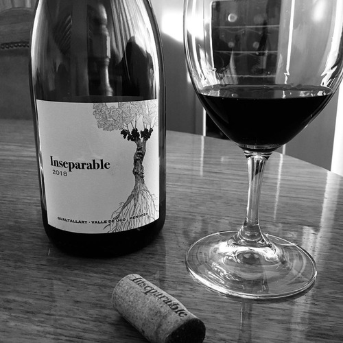Imagen 4 de 10 de Vino Perse Inseparable Malbec 750ml. - David Bonomi