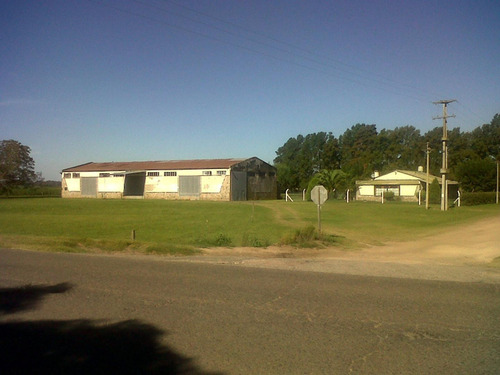 Imagen 3 de 11 de Amplio Galpón Y Casa Sobre Ruta, Terreno De 10.000 M2
