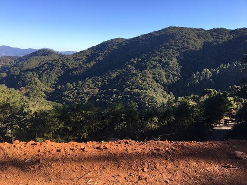 Imagem 1 de 11 de Terreno De 1767m² A Venda Em Condominio Em Santo Antônio Do Pinhal, Na Serra Da Mantiqueira, Vista Livre, Contato Com A Natureza - Te0436