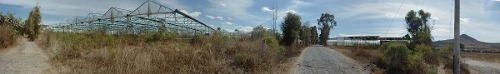 Imagen 5 de 14 de Invernadero En Saucillo, Chihuahua