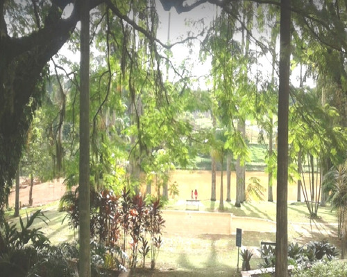 Imagem 5 de 5 de Terreno - Te04105 - 69377970