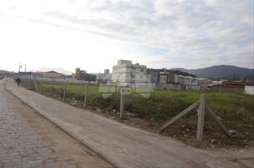 Imagem 1 de 7 de Terreno - Comercial/residencial - 60659